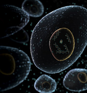 Year in Review: H1N1 Pandemic Hits Campuses